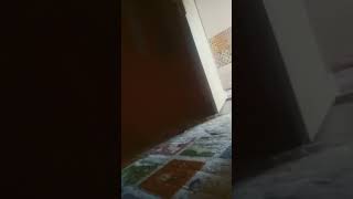 Dddddfdd