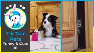 😍Tik Tok - Funny and Cute Pets Compilation #3