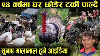 टर्की पालेर भए मालामाल, लगानीको डब्बल फाइदा, बाेइलर भन्दा राम्राे ! Turkey farming in Nepal