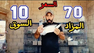 هدا الطير بالسوق سعرو ١٠ دولار  وبالمزاد سعرو ١٠٠ دولار🔥😱