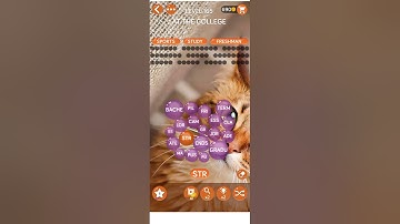 Word Pearls Level 165 | Word Pearls At The College