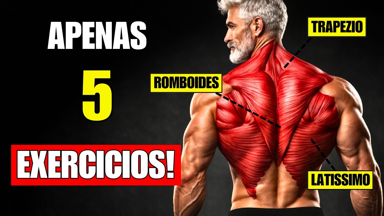Os ÚNICOS 5 Exercícios Que Você Precisa Para Costas Completas: Largura, Densidade e Postura