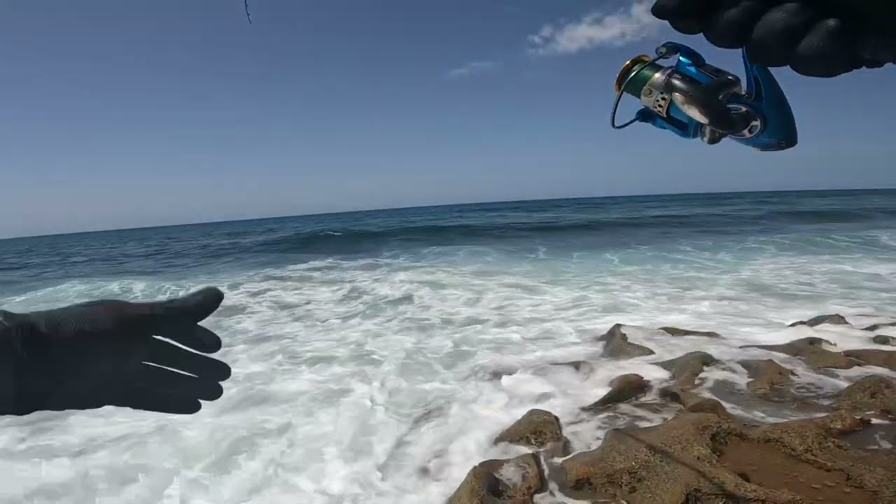 تقنية سبينينغ سمك الدانتي من الحاخم الكبير