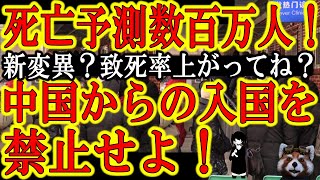 【流石にもう無視できん！新たな変異株か？『中国で新規感染爆裂！『死亡者数が数百万人に達する可能性がある』】岸田ぁ！中国からの入国を禁止せよ！不安を煽る動画は嫌いなんだけど流石に今の中国の死亡者数はヤバ