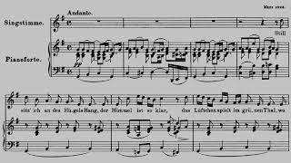 Im Frühling (Schubert: D. 882) Piano Accompaniment 피아노 반주