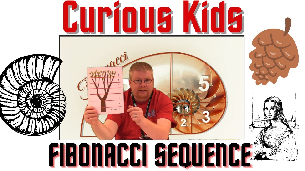 Curious Kids: The Fibonacci Sequence - YouTube