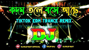 রাধারানী | Kodom Tole Bose Ache | Dj (Remix) | Tiktok | Edm Trance Remix | Dj Song |