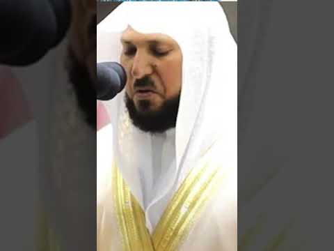 سورة الحجر القارئ ماهر المعيقلي