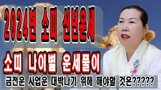 [2024년 신년운세] [갑진년 소띠 신년운세] [나이별운세] [파주점집] [영점,신점,삼재,재물운,부동산,…