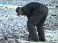 Guided Meditation Seeing Without Eyes Knowing Without Mind - YouTube Auto playertube