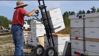 Hive Lifter Product Field Video  Bee Breeding Centre