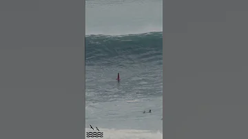 MASSIVE CLOSEOUT CLEARS THE LINEUP AT BOWLS 