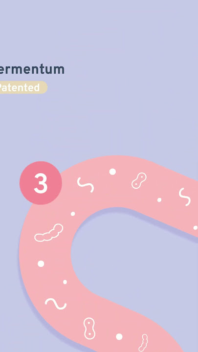 What Are The 5 Probiotics Strains In LB-30? | Avance
