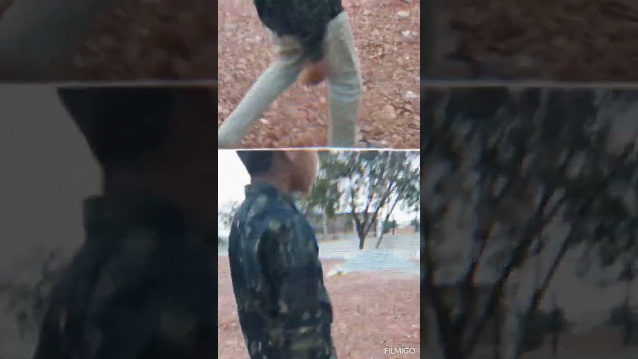 ROARING BOYS 🔥🔥 