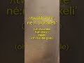 Learn Onyota A Ká ʌtwalíhahteʼ Né N Olutákeli ʼ
