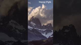 Internal Flight || Estas Tonne & Paganel Studios #shorts