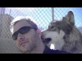 Love From Holan at Wolf Mountain Sanctuary