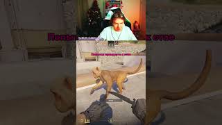 #cs2 #faceit #strogo #rofl Когда нибудь его возьмут в стаю