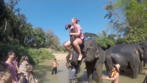 TRY NOT TO LAUGH _ Funny Weekend At The Zoo - LAUGH TRIGGER(1)