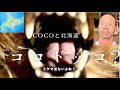 【緊張】ヒグマが出そうな森をCOCO🐶とバイクで走行。富良野〜釧路の美しい景色をお楽しみください。　＃キャンプ　＃DOG ＃キャンプ