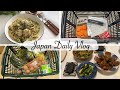 japan vlog | in search of diary, Daiso haul, grocery shopping, Korean inspired dinner