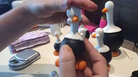 Vdeo aula galinha