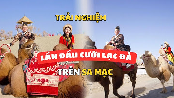 Trải Nghiệm Cưỡi Lạc Đà Trên Sa Mạc tại Tân Cương - Trung Quốc.