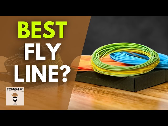 What Fly Line is Best for You?