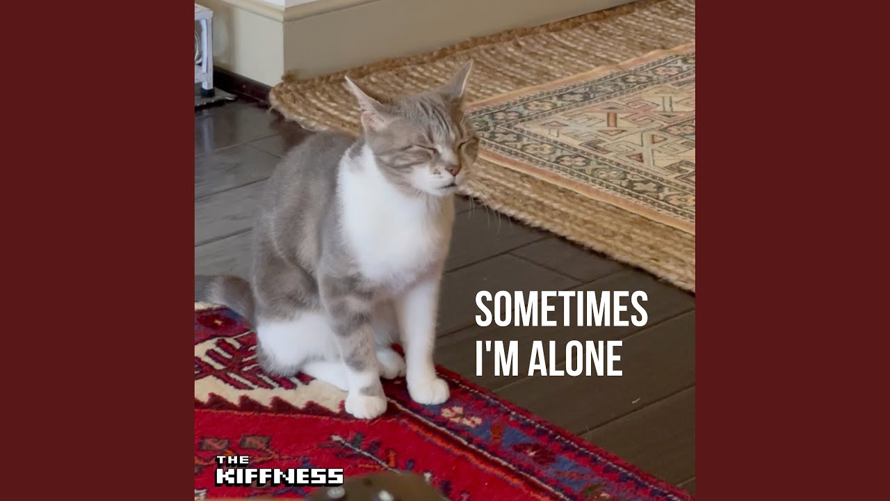 Sometimes I'm Alone (Lonely Cat) - YouTube