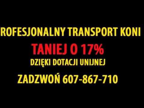 Wideo: Zatrucie Psiankowatych U Koni