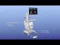 Transperineal MRI/US fusion prostate biopsy -Trinity®