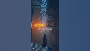 وإذا سألك عبادي عني فإني قريب | شايع التميمي قرآن من سورة البقرة #قرآن #quran