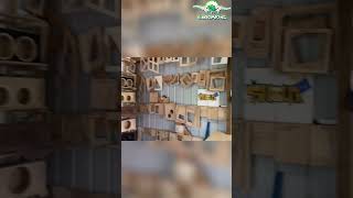 Shop Tour: Tools, Router Table, and Organized Storage! #shorts