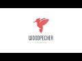 Aplicaia woodpecker watch introducere tablet englez