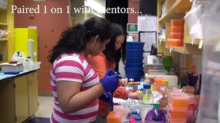 UPMC Hillman Cancer Center Academy