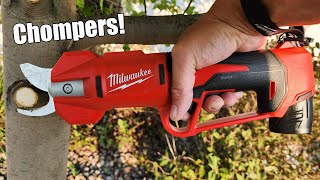 Milwaukee Tool M12 Brushless Pruning Shears Review 2534-20 2534-21