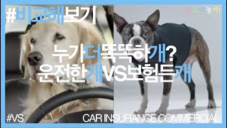 λκ°λλλνκ° | μ΄μ νκ° VS 보νλ κ° | Subaru VS GEICO