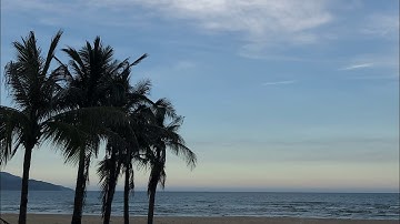 Thông điệp cần nghe tại thời điểm này (timeless) - Chi de papillon