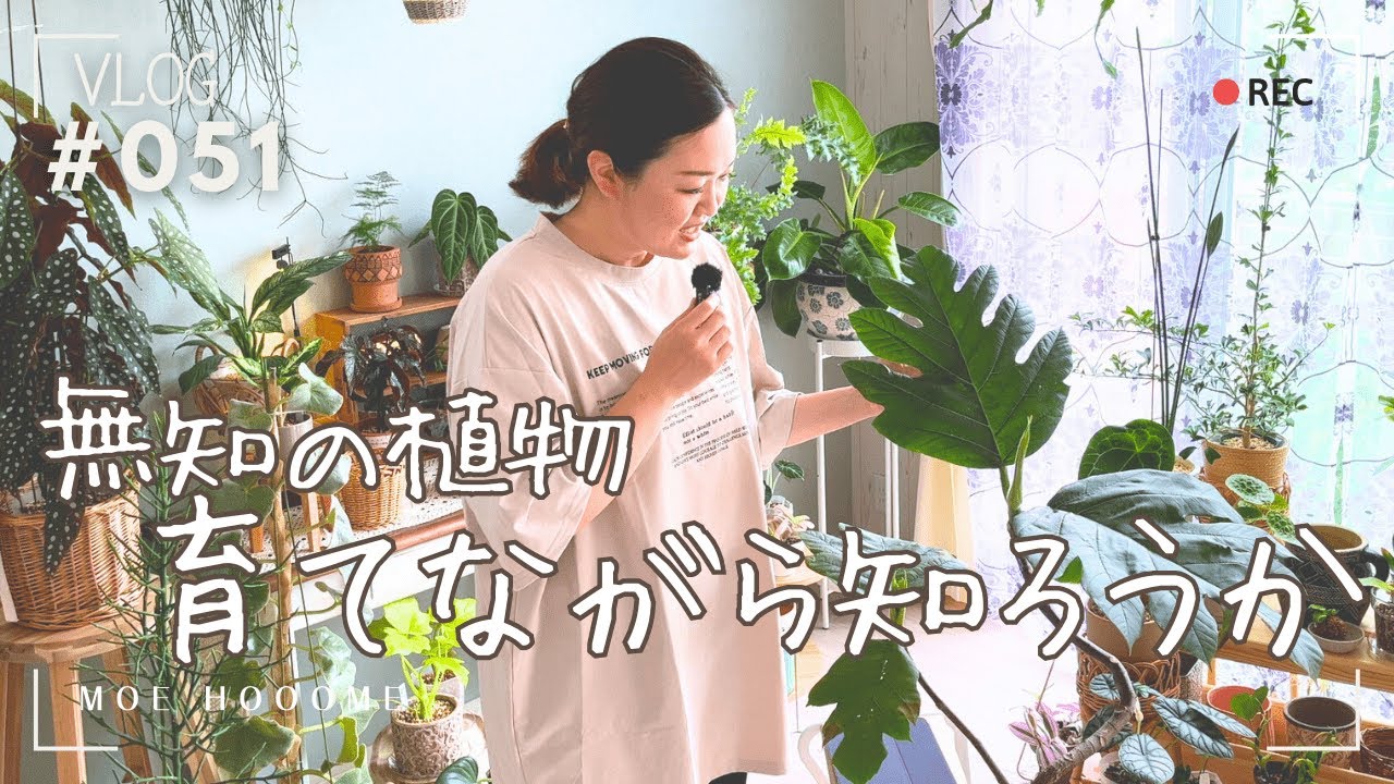 【無知の植物】よく分からないけども育てながら学べばいいか?!（Vlog/051）