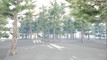 conifer forest 3d animation by unreal engine
