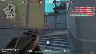 Rollie Rollie Montage