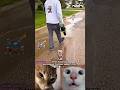 #trendingshorts #memes #trollface #fypシ゚viral #music #shorts