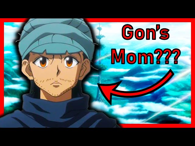 Hunter X Hunter: 10 Wild Fan Theories That Might Be True