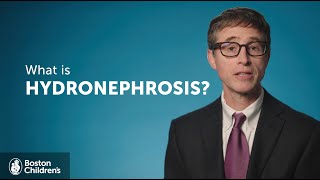 What is Hydronephrosis? | Boston Children's Hospital