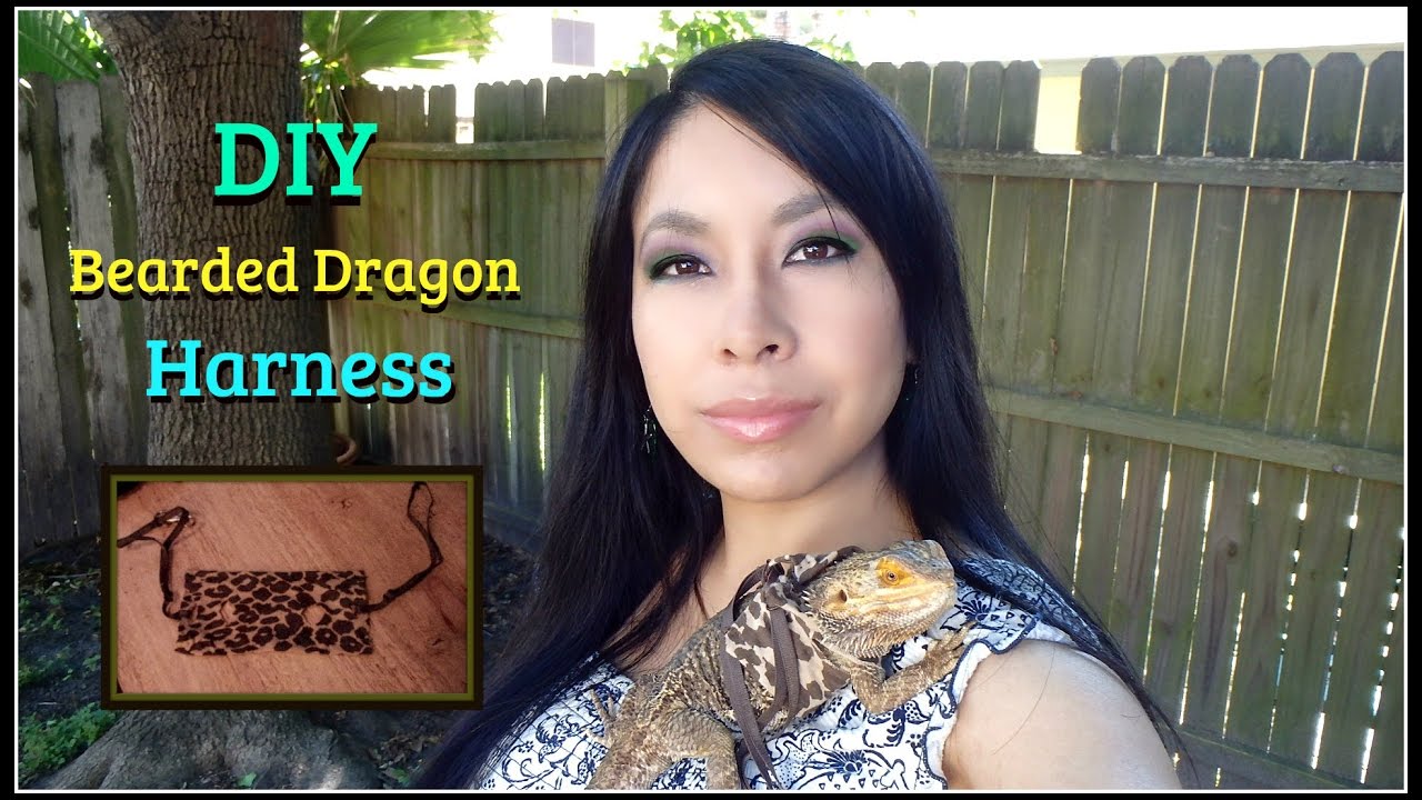 diy-bearded-dragon-harness-youtube
