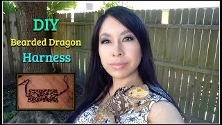 DIY: Bearded Dragon Harness