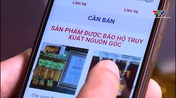 Đẩy mạnh tiêu thụ nông sản qua kênh thương mại điện tử | NSTH