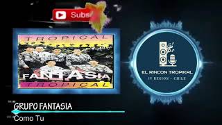 Video thumbnail of "Grupo Fantasia -  Como Tu"