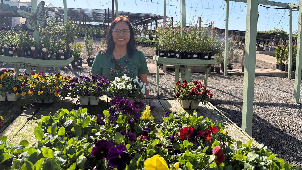 Vamos al vivero más grande de San Diego con muchas flores! 