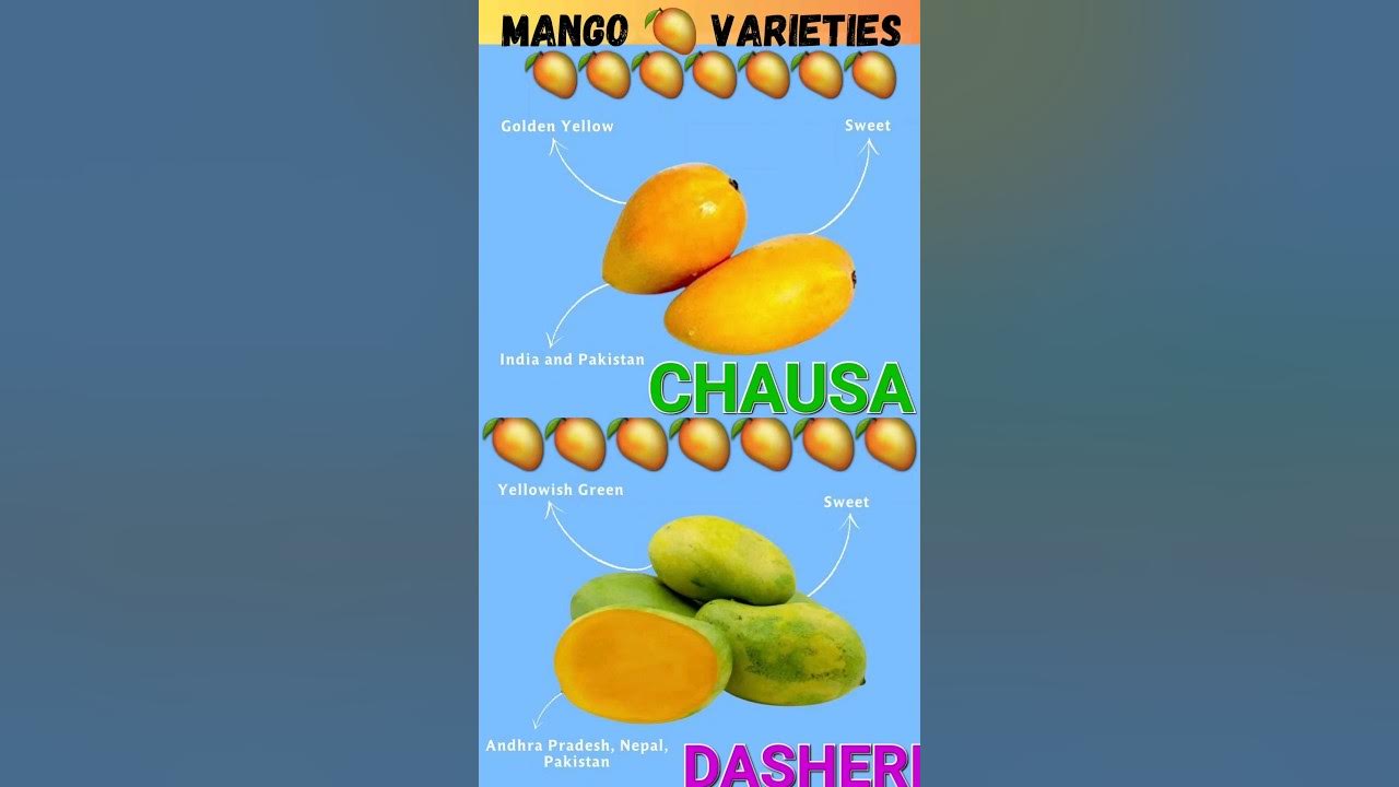 Indian Mango 🥭 VarietiesMango Varieties in IndiaTypes of mangoes